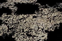 High Resolution Decal Cracked Texture 0002